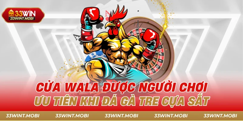 Cửa Wala được người chơi ưu tiên khi đá gà tre cựa sắt